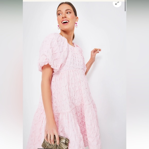 Sold Out NWOT  Hyacinth House Tnuck Pink Diamond Textured Isabella Mini … - Picture 1 of 17